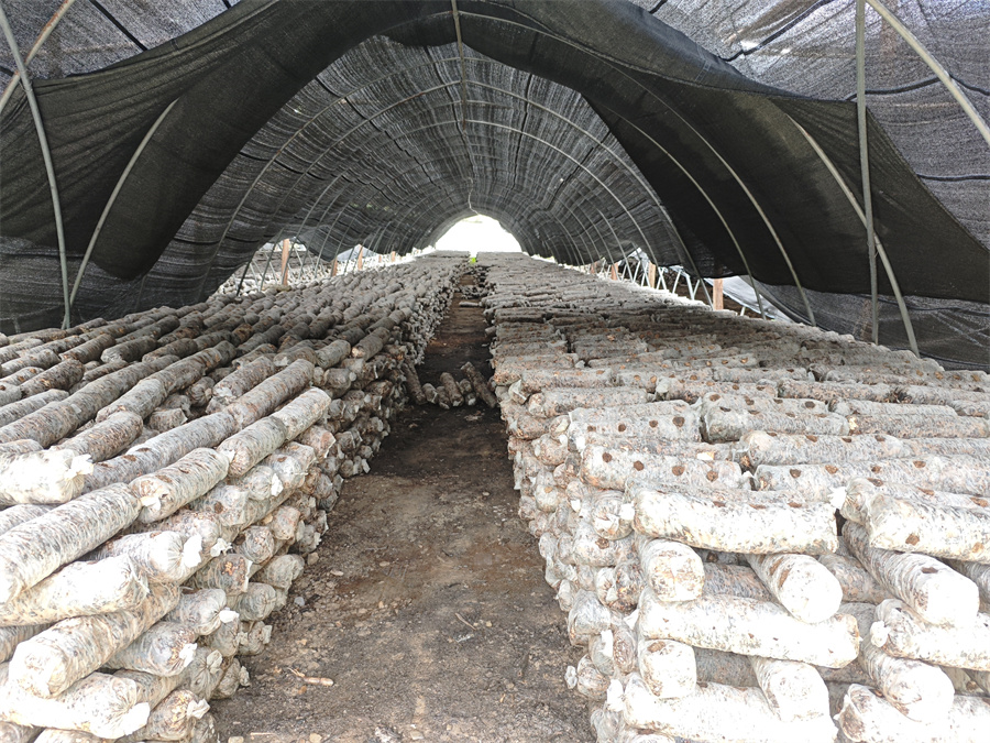 1761717202110413.jpg 91af4c24-17b5-4c3b-a0c3-32c81534300e.jpg