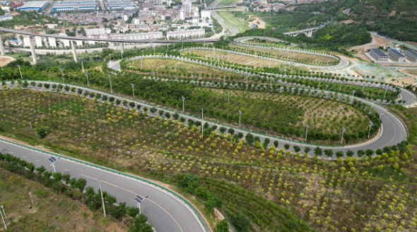 1761719094139033.png 11.png