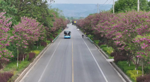 1761719110427016.png 33.png