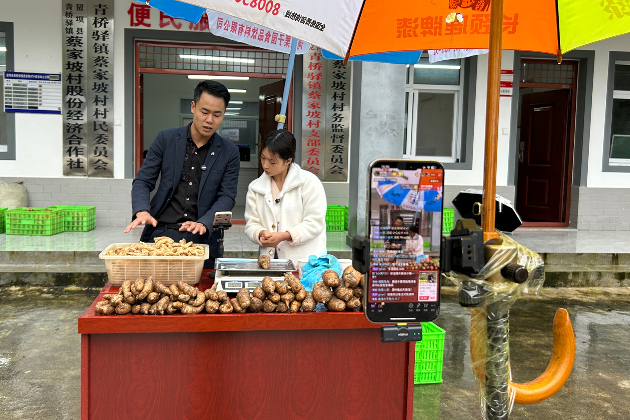 1761719132955258.jpg 在直播间卖当地柿子.jpg