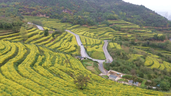 1761893551548397.png 11.png