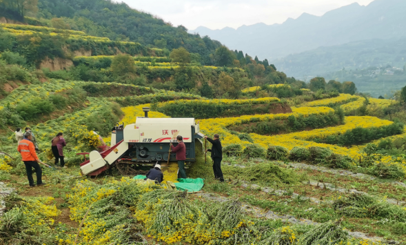 1761893558371925.png 22.png