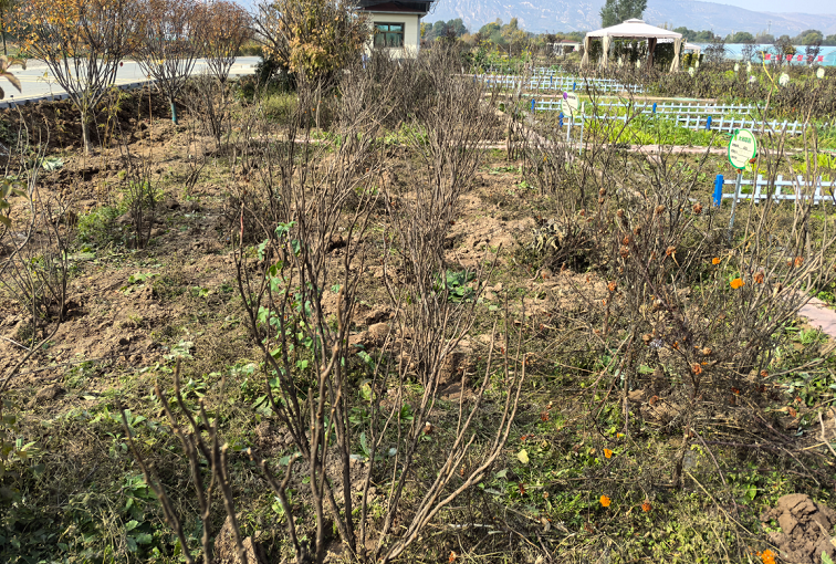 1761898427790743.png 11.png