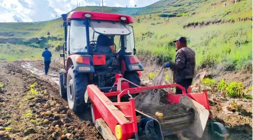 1761898515117966.png 照片1.png