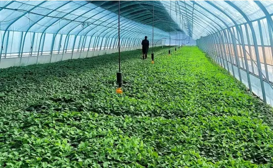 1761898521859691.png 照片2.png