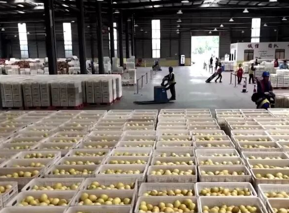 全球爆单，价格暴涨！它，从“论斤卖”到“论克卖”