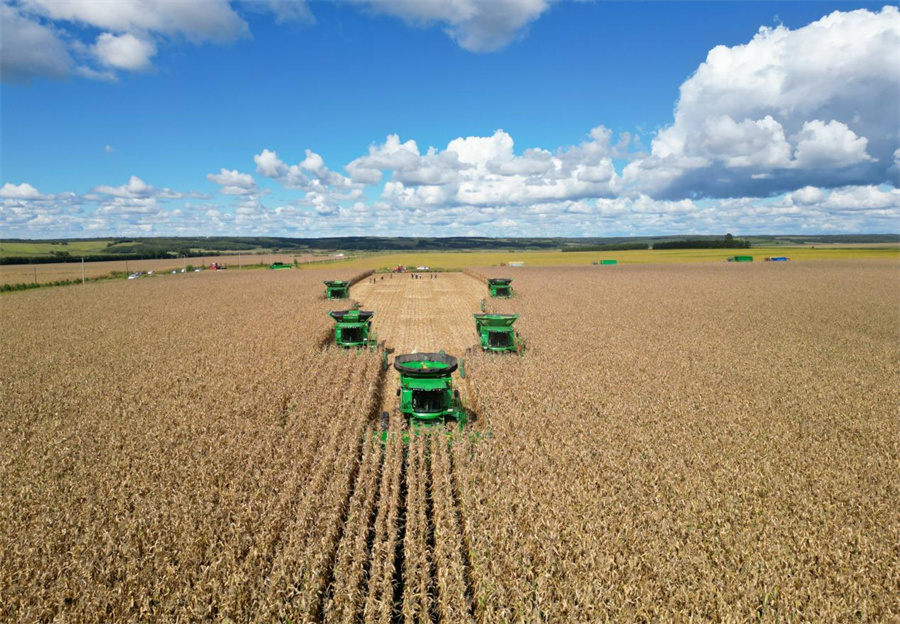 1762326174513055.jpg 图片1.jpg