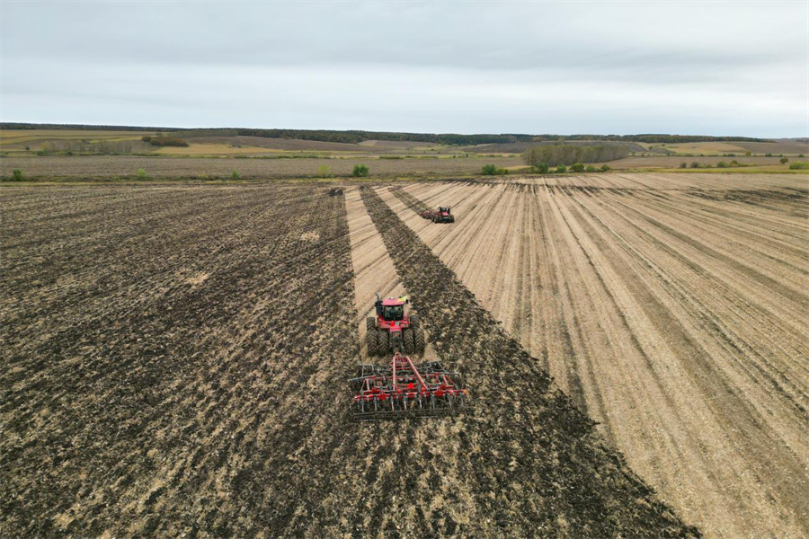 1762326178545578.jpg 图片2.jpg