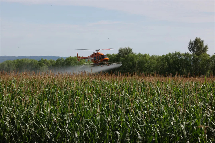 1762326181404731.jpg 图片3.jpg