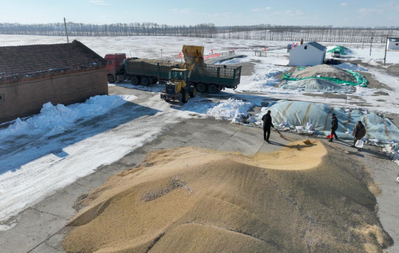 1762331061122304.png 11.png