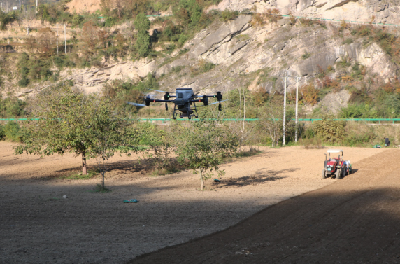 1762409824451473.png 11.png