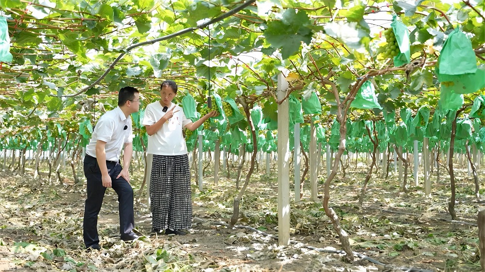 1762415597494660.jpg 3.jpg