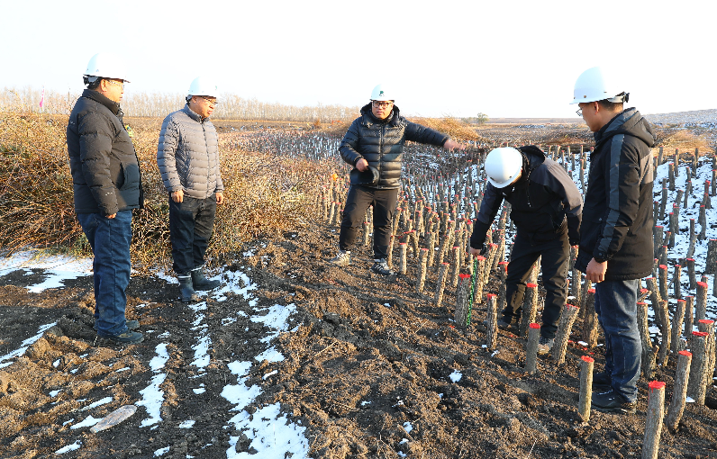 1762415816774040.png 33.png