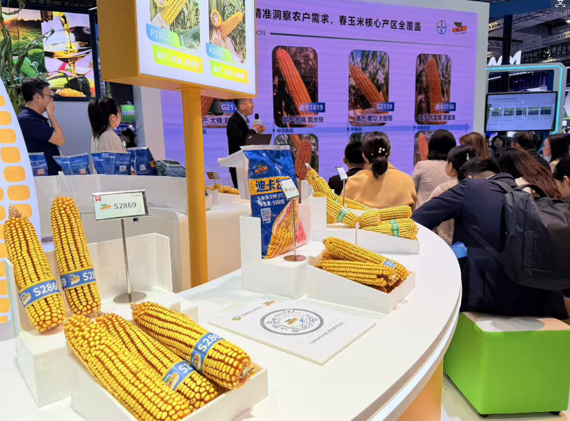 1762496384223281.png 22.png