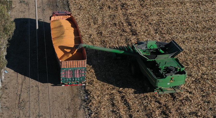 1762496492922531.jpg 图片1.jpg