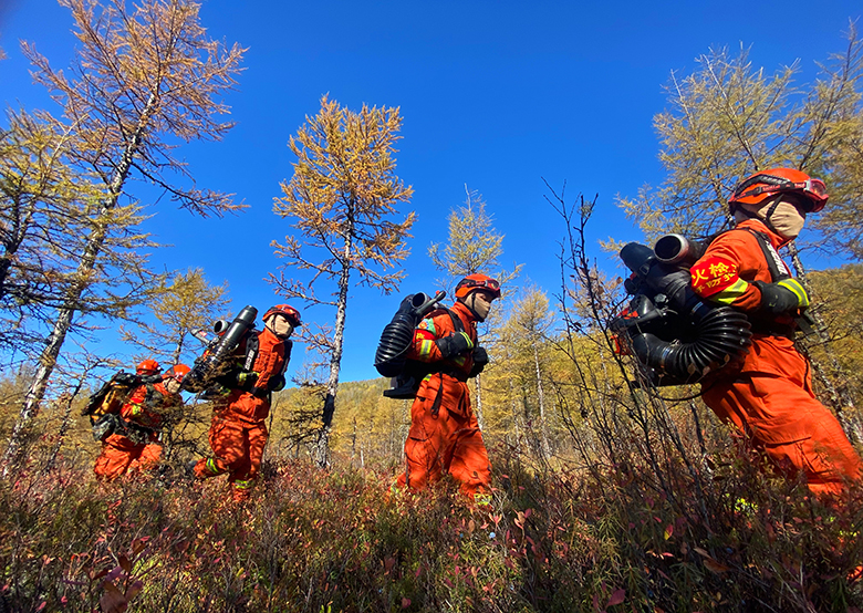 1762501022224818.jpg 指战员进山入林开展防火巡护.jpg