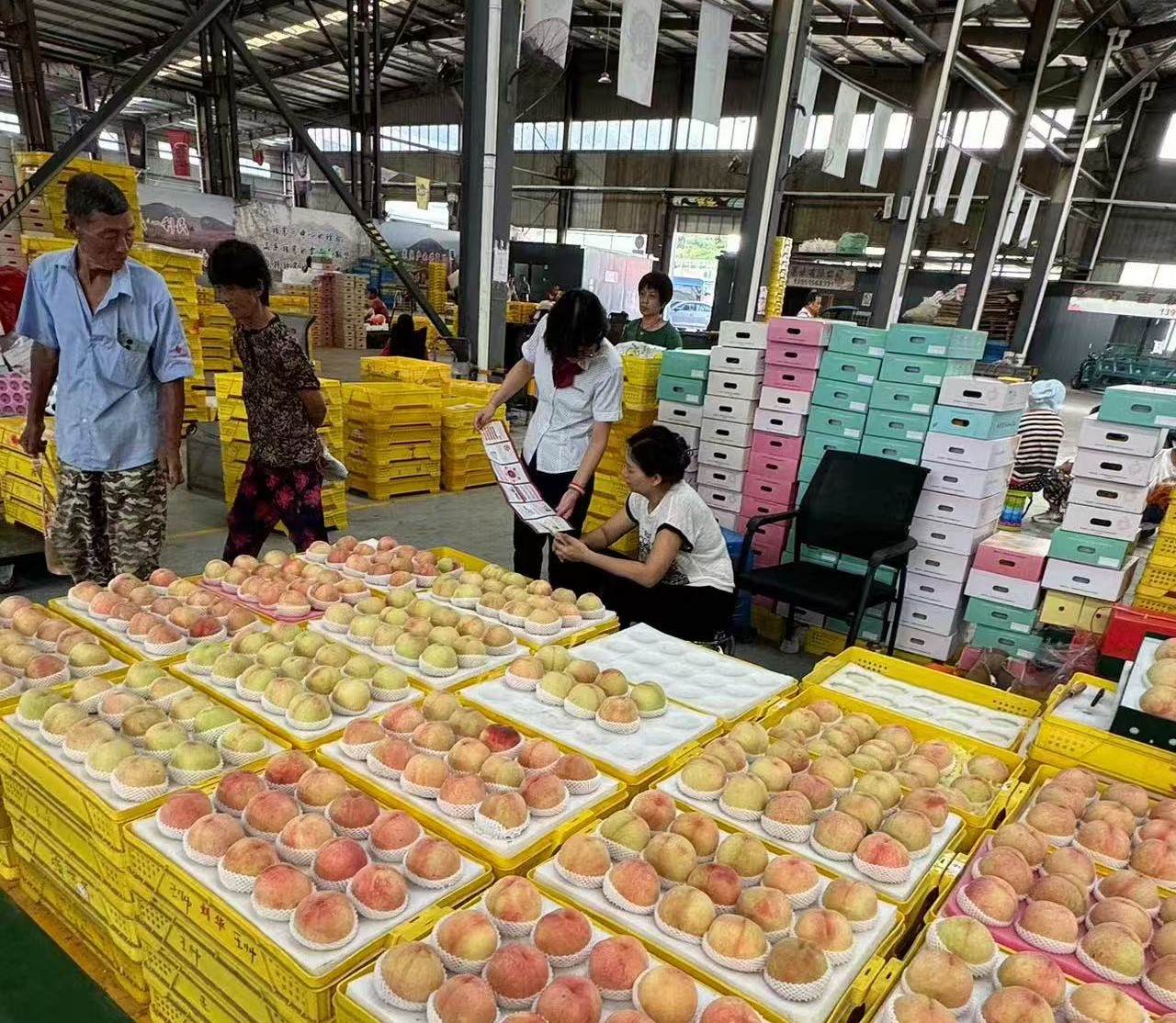 1762743404407235.jpg 1.jpg