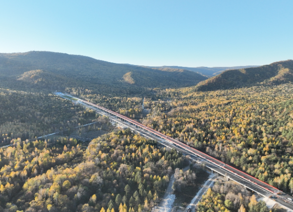 1762766676826806.png 11.png