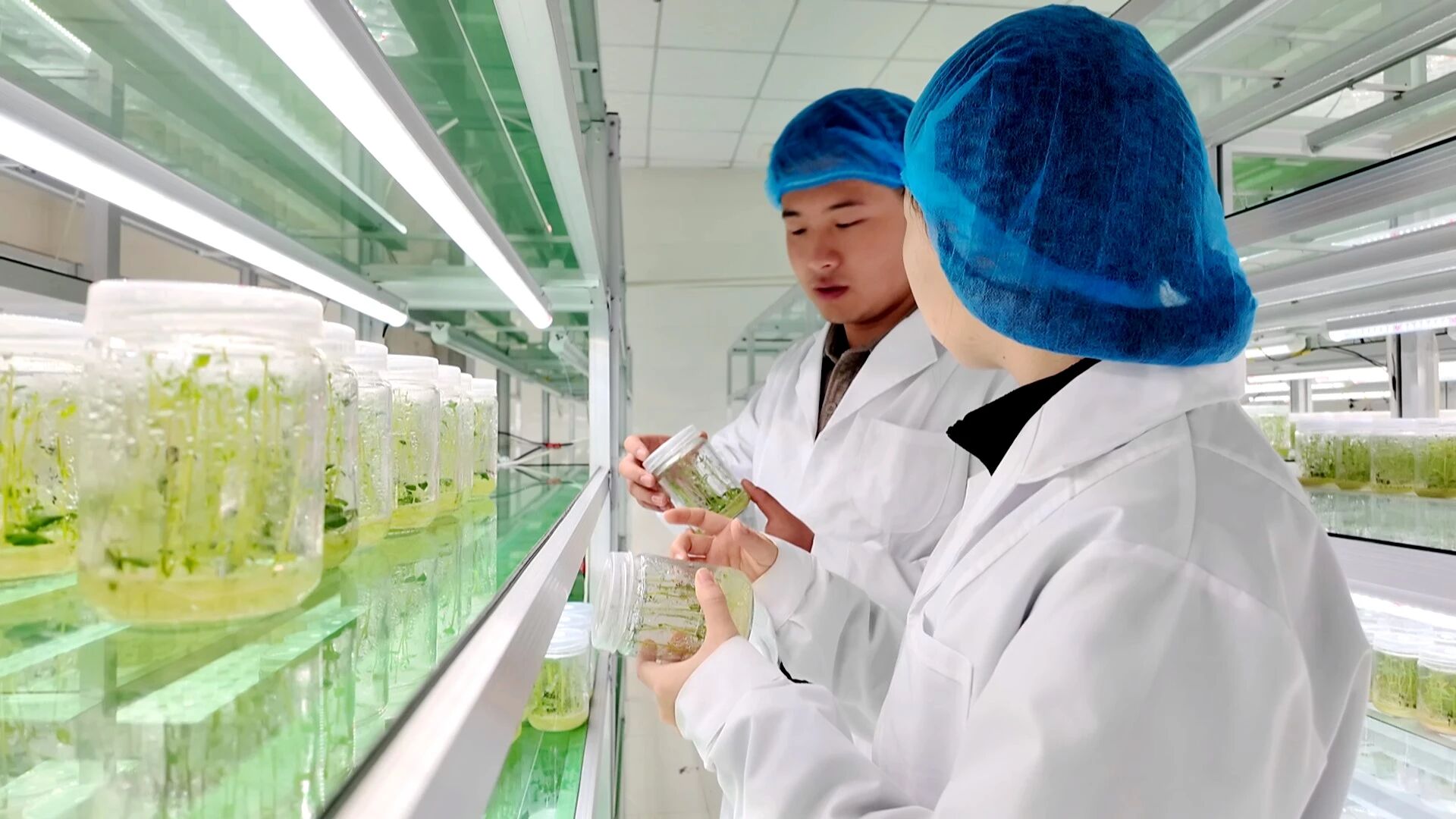 1762767096732981.jpg 照片3.jpg