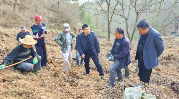 1762767626309994.png 11.png