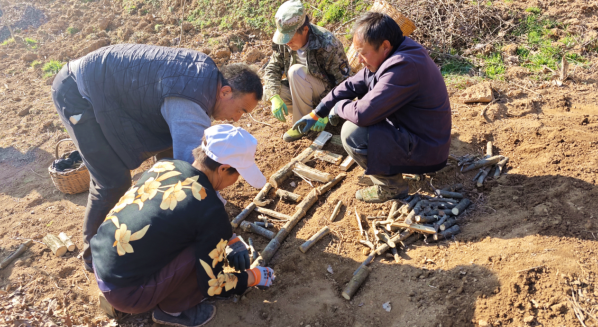 1762767642766387.png 22.png