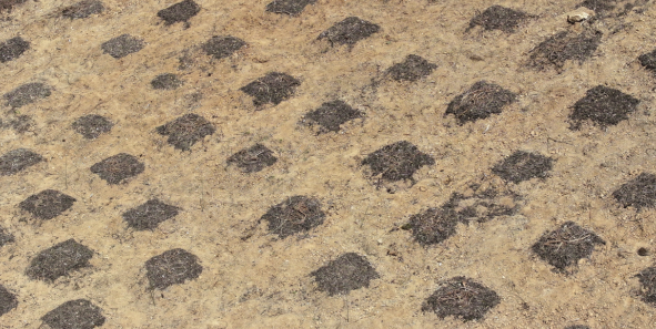 1762767654146166.png 33.png