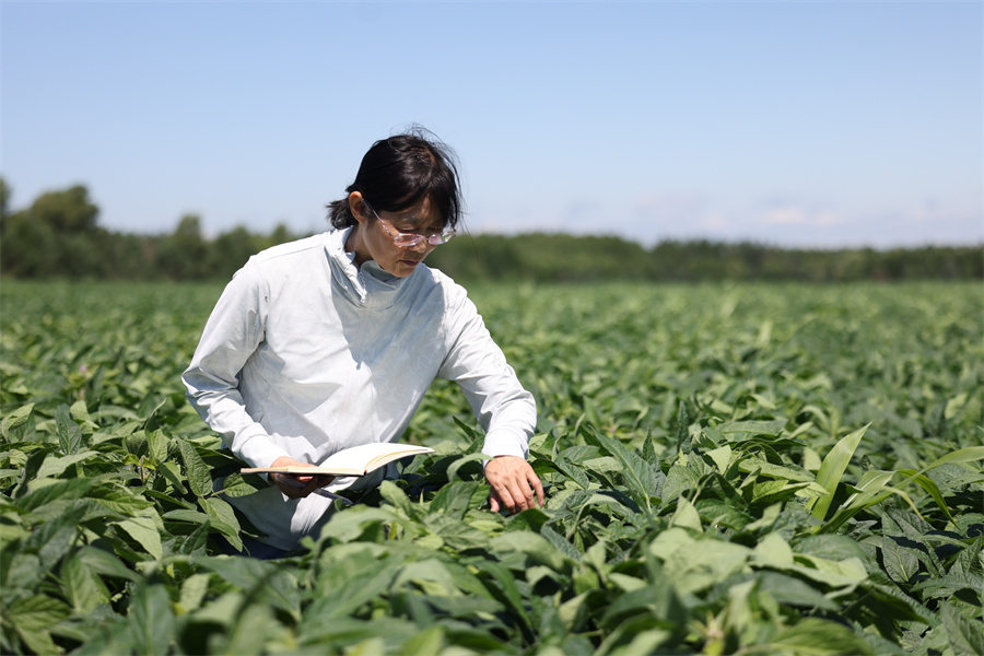 1762768401258097.jpg 长水河农场农业科技园区.JPG