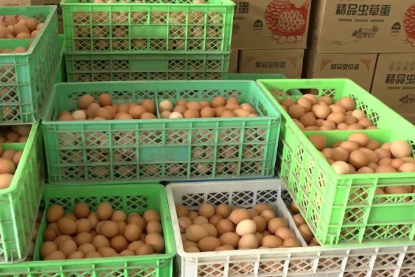 价格“大跳水”！商户：降至近几年最低