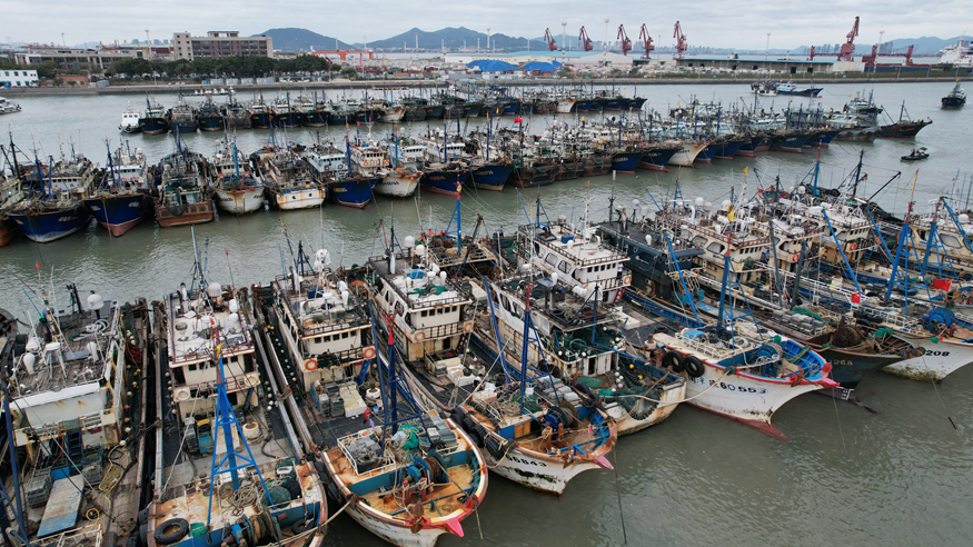 福建：防御台风“凤凰” 渔船回港人员上岸