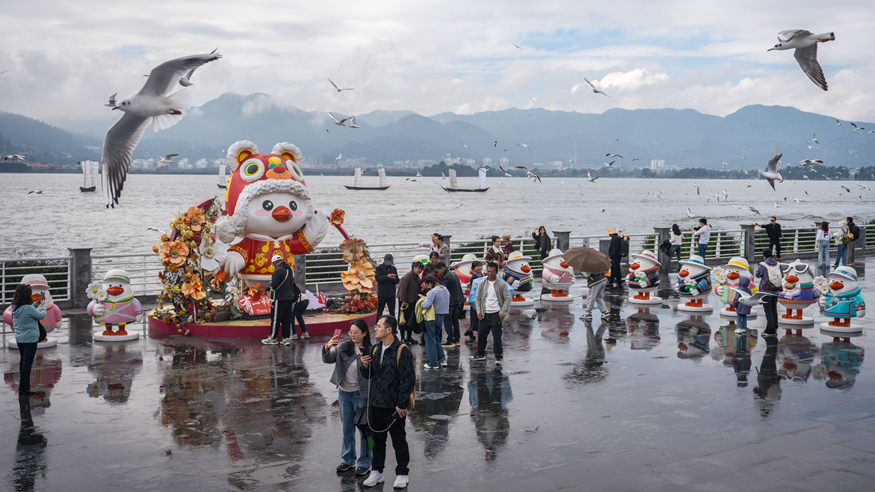 “春城”昆明冬赏鸥