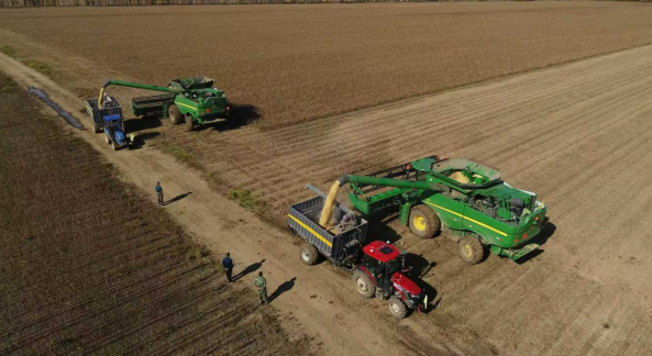 1762845260880191.png 11.png