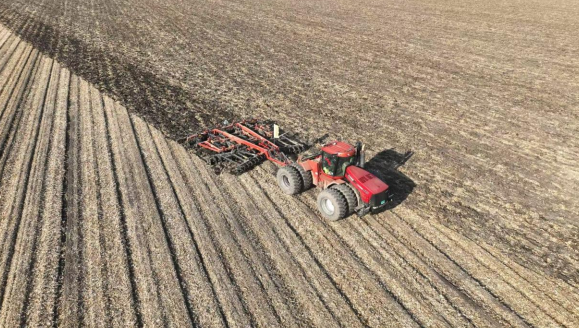 1762845340120709.png 11.png