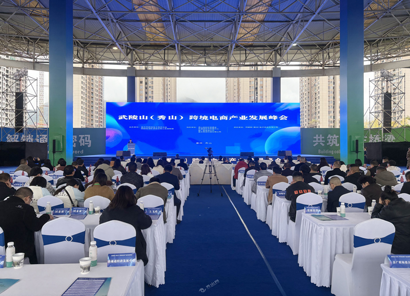 1762849290853808.png 峰会现场.png