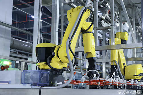 共富密码  “百千万工程”绘就新图景