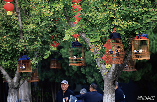 ​居住适老：如何改到老年人“心坎上”