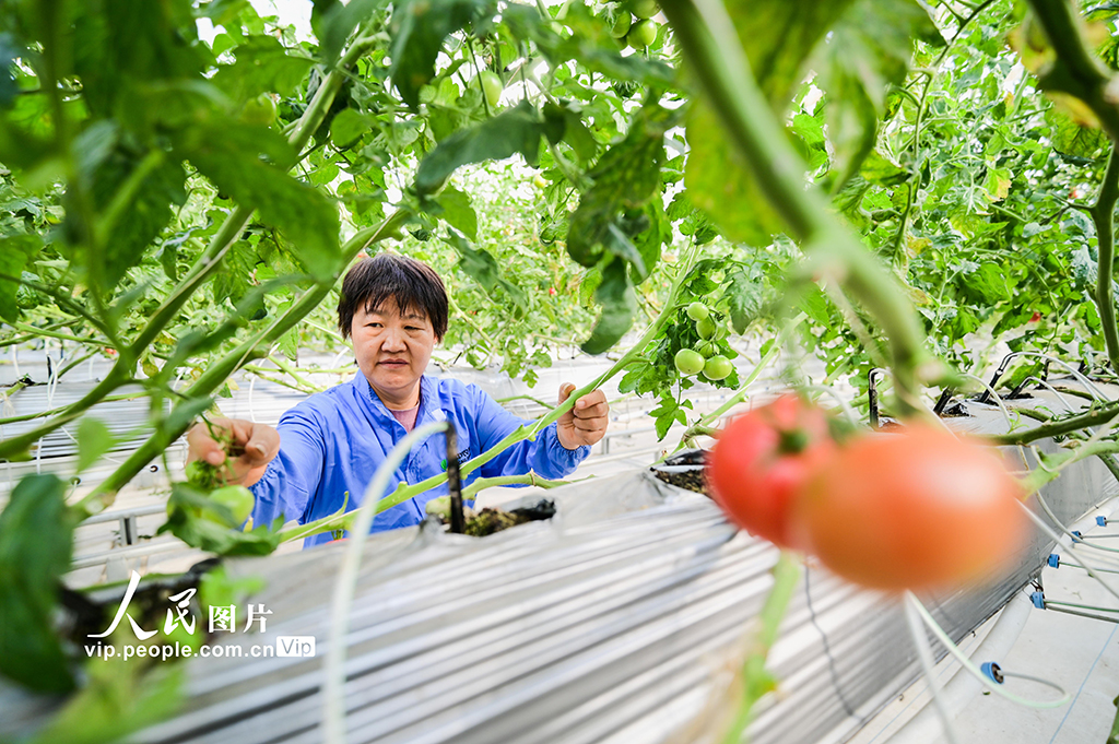 新疆昌吉：智慧农业促发展【2】