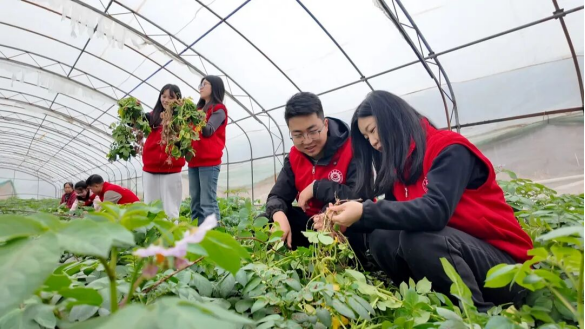 1763707923924839.png 照片1.png