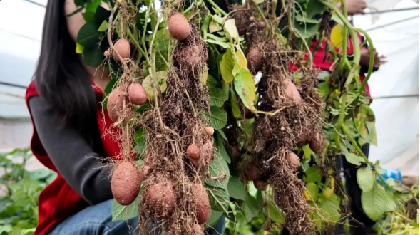 1763707929945023.png 照片2.png