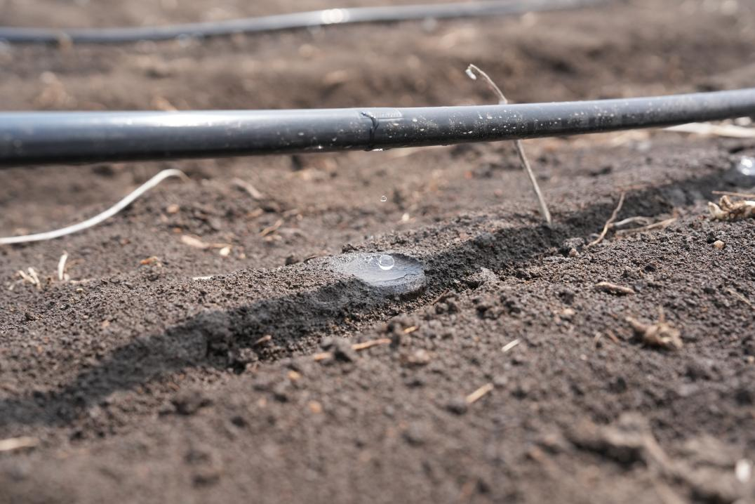 1763708026232224.png 图片1.png