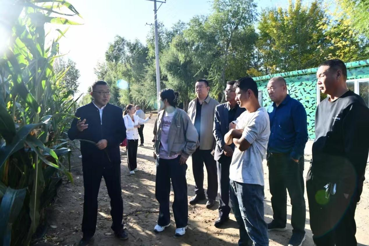 1763708030379439.png 图片2.png