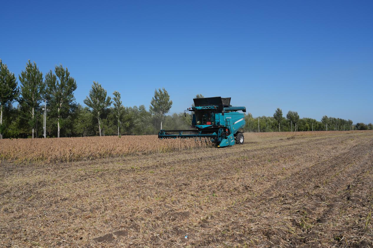 1763708034577966.png 图片3.png