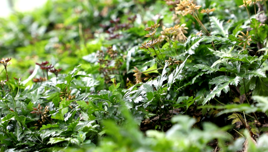 1763708299600408.png 11.png