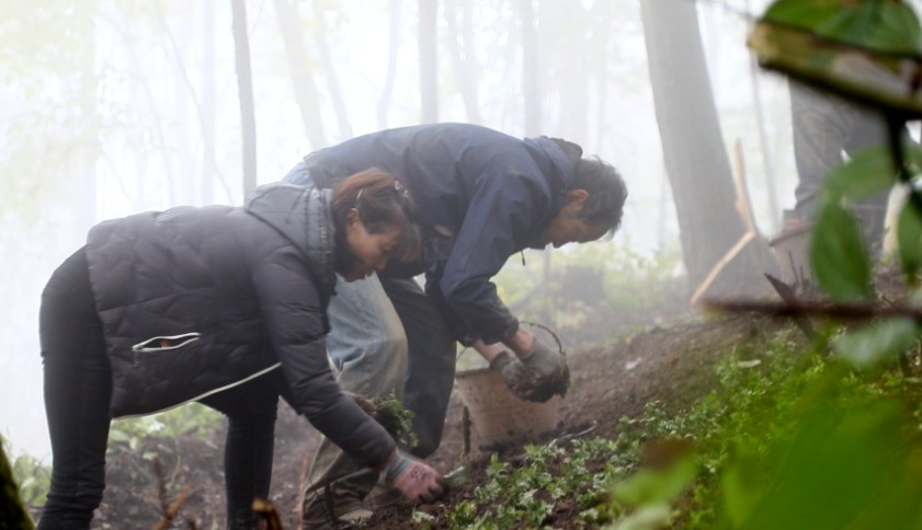 1763708306114497.png 22.png