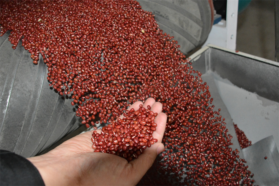 1763708616507923.jpg DSC_7523.JPG