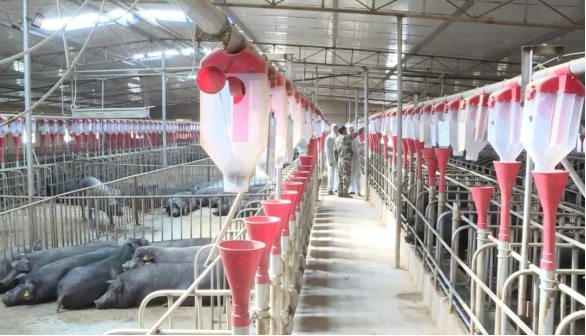 1763708899452166.png 照片2.png