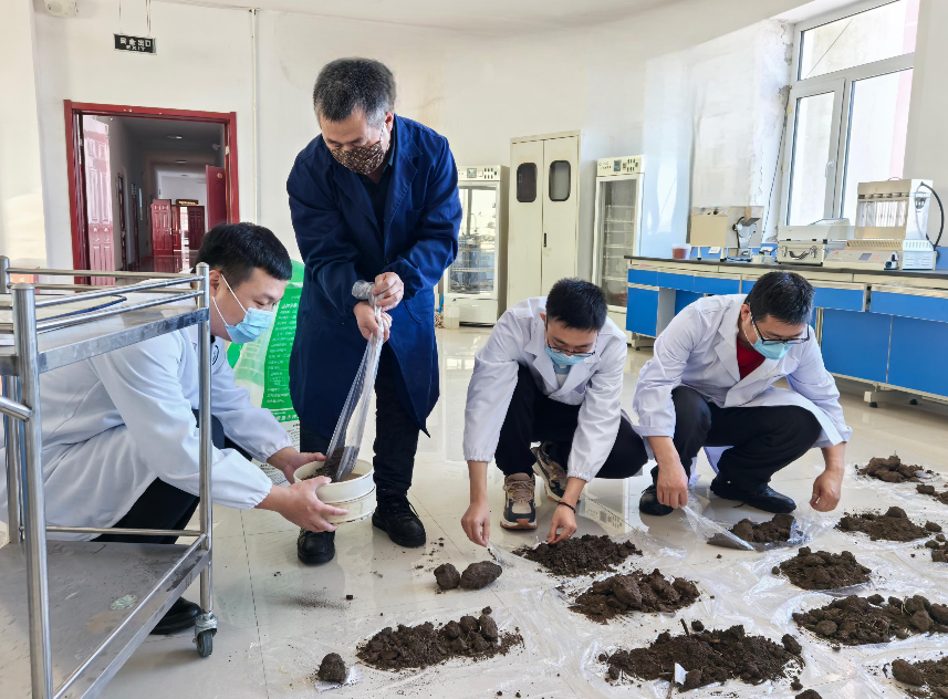 1763708995815530.png 22.png