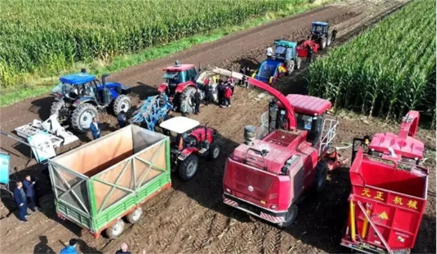 1763709044922744.jpg 照片1.jpg