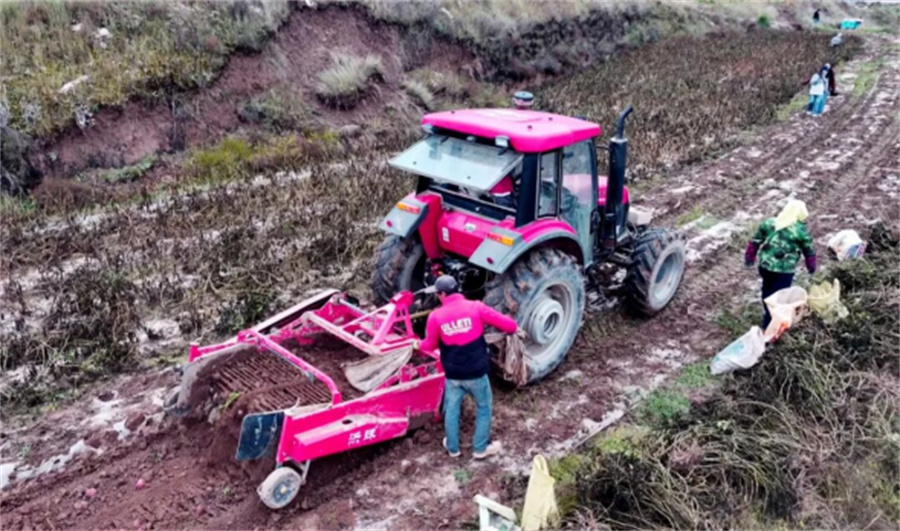 1763709049419197.jpg 照片2.jpg