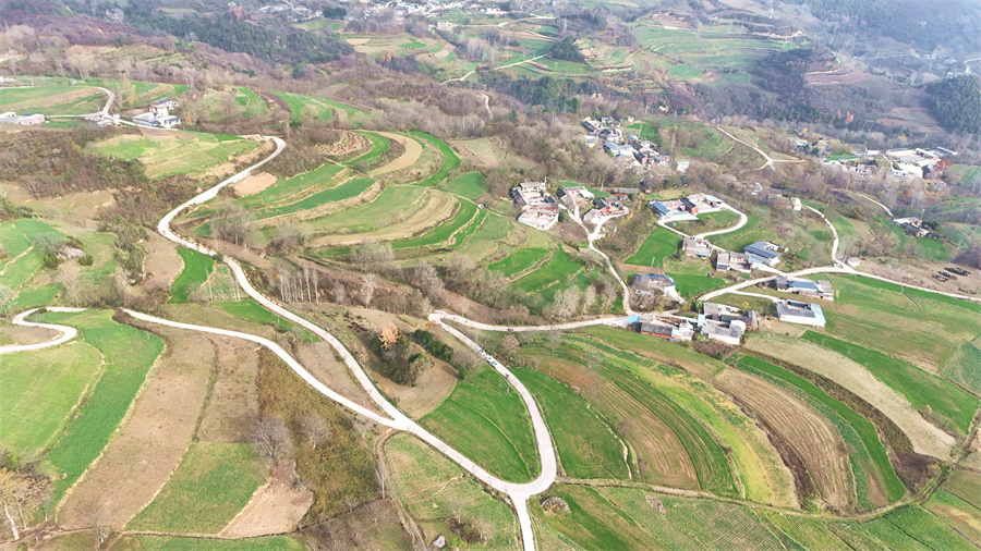 1763710045164728.jpg 图片1.jpg