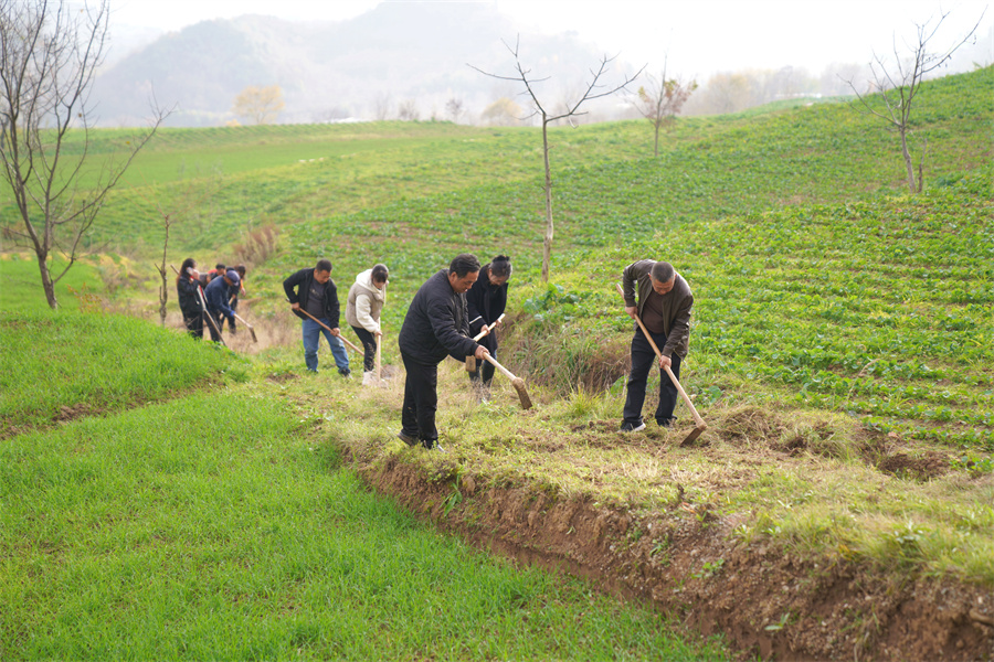 1763710049368022.jpg 图片2.jpg